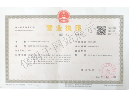 荣誉证书 (6)
