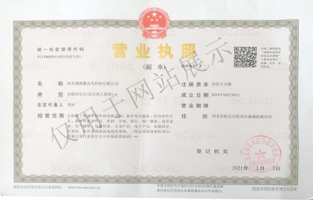 荣誉证书 (6)